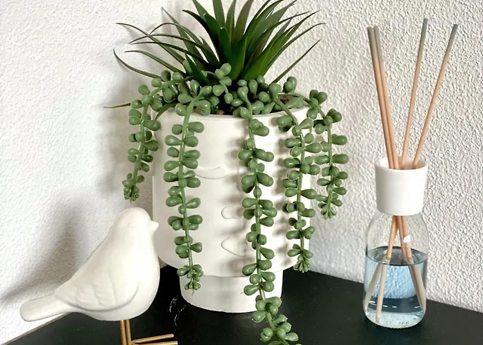 Glad Spot: - - Design - Netflix