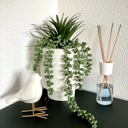 Glad Spot: - - Design - Netflix